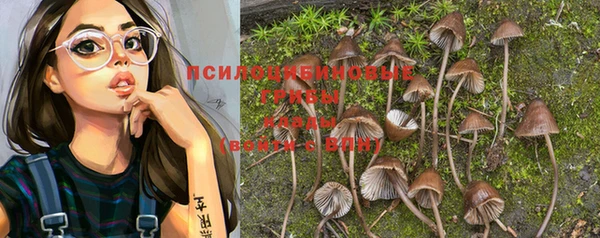 прущие крисы Белокуриха