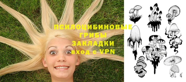 прущие крисы Белокуриха