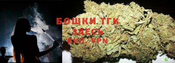 прущие крисы Белокуриха