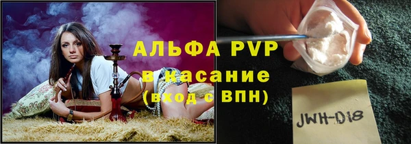 прущие крисы Белокуриха