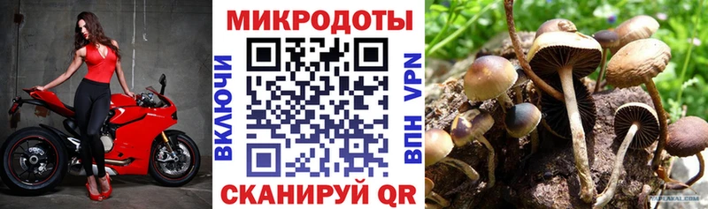 Псилоцибиновые грибы Cubensis  закладки  ОМГ ОМГ ONION  Югорск 